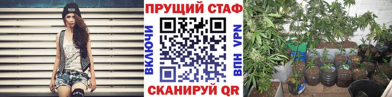 Галлюциногенные грибы Магнитогорск