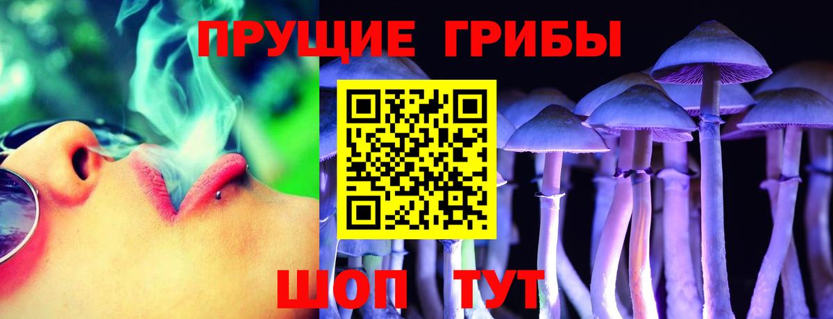 Магнитогорск  Галлюциногенные грибы GOLDEN TEACHER  Вход с VPN  Галлюциногенные грибы мицелий 